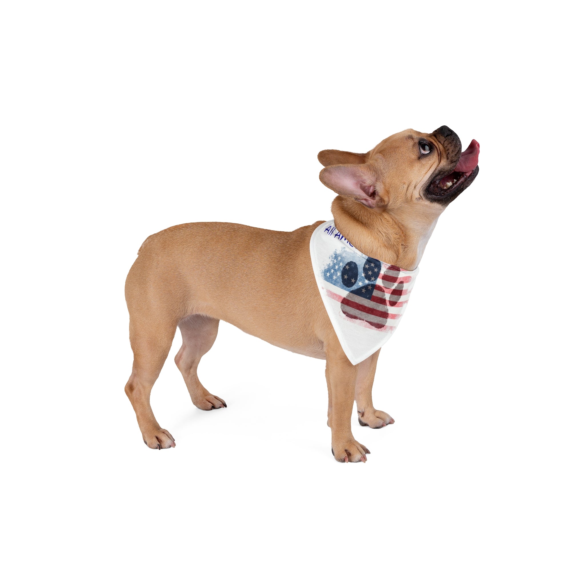 All American Good Boy Pet Bandana